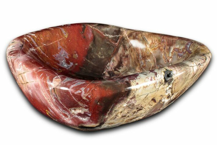 Colorful Polished Petrified Wood Bowl - Madagascar #346831